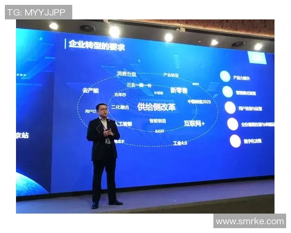 名家论道足球艺术与战术之美的深度解析与思考