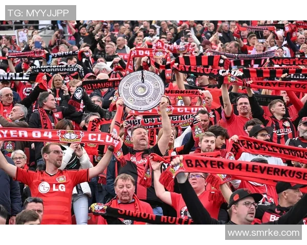 欧洲足球盛宴即将开启各国球队争夺荣耀与梦想的舞台 欧洲足球盛宴即将开启各国球队争夺荣耀与梦想的舞台