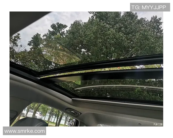 武汉篮球队在联合会杯中的蜕变与未来发展之路探讨 武汉篮球队在联合会杯中的蜕变与未来发展之路探讨