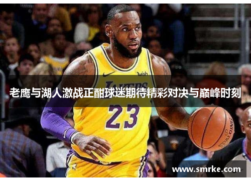老鹰与湖人激战正酣球迷期待精彩对决与巅峰时刻